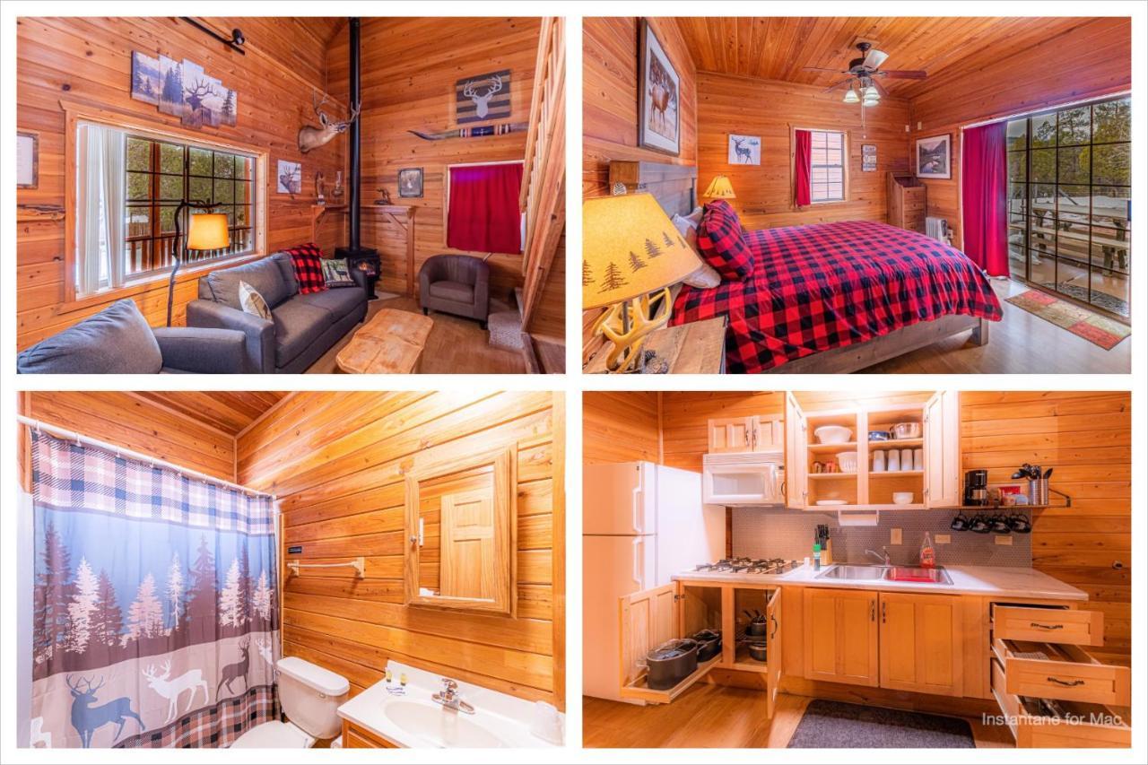 Cabin #4 The Wolves Den - Pet Friendly- Sleeps 6 - Playground & Game Room 패이슨 외부 사진